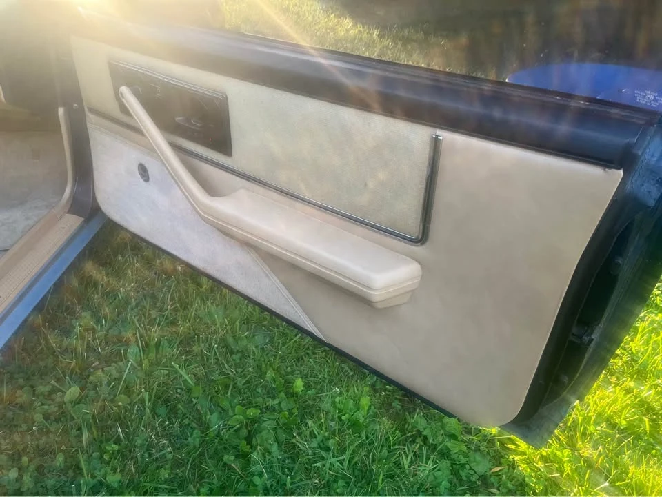 1982 Pontiac Firebird 3rd Gen - Image 14 of 14