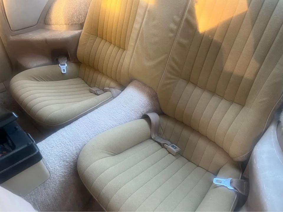 1982 Pontiac Firebird 3rd Gen - Image 11 of 14