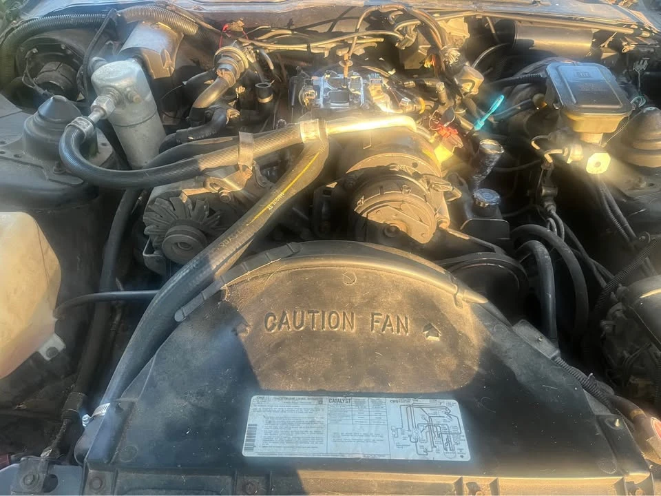1982 Pontiac Firebird 3rd Gen - Image 7 of 14