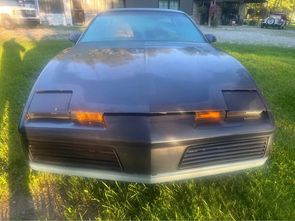 1982 Pontiac Firebird 3rd Gen - Image 2 of 14