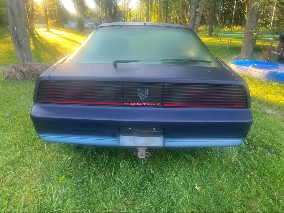 1982 Pontiac Firebird 3rd Gen - Image 4 of 14