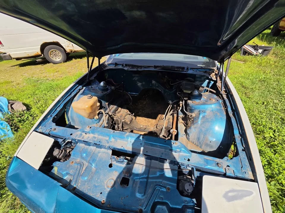 1982 Pontiac Firebird 3rd Gen - Image 6 of 7
