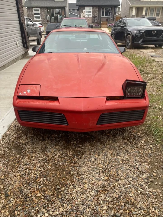 1982 Pontiac Firebird 3rd Gen - Image 2 of 4