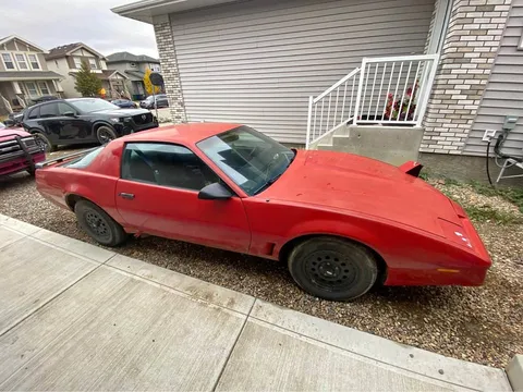 1982 Pontiac Firebird