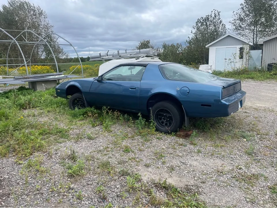 1982 Pontiac Firebird 3rd Gen - Image 12 of 14