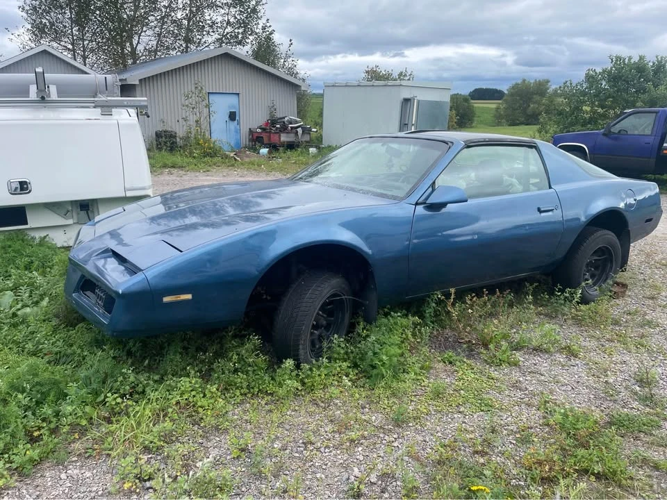 1982 Pontiac Firebird 3rd Gen - Image 13 of 14