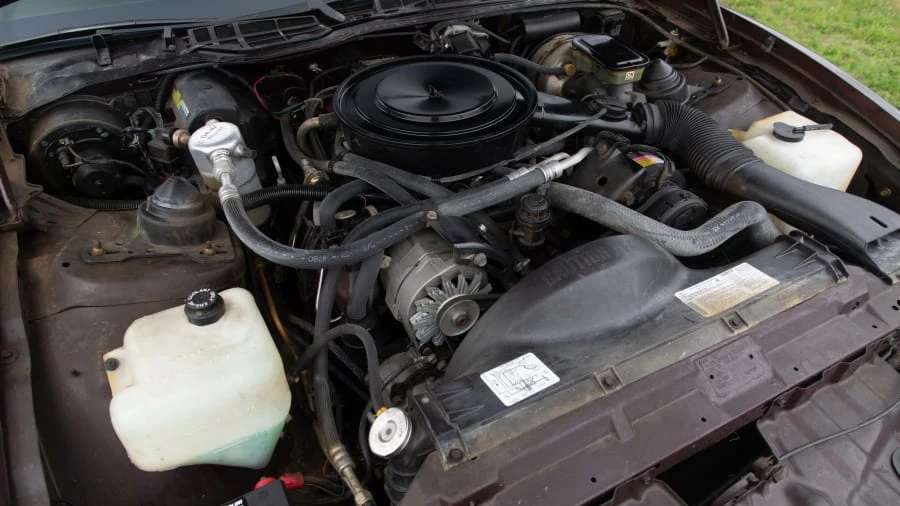 1982 Pontiac Firebird 3rd Gen - Image 7 of 12