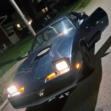 1982 Pontiac Firebird S/E