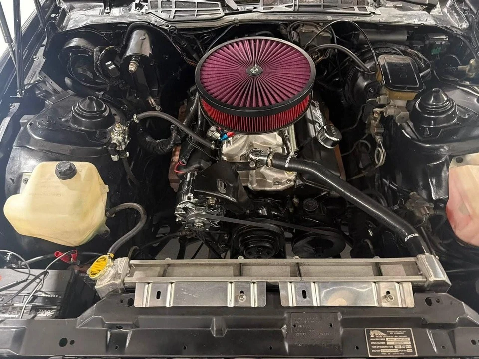 1982 Pontiac Firebird Trans Am 3rd Gen - Image 19 of 19