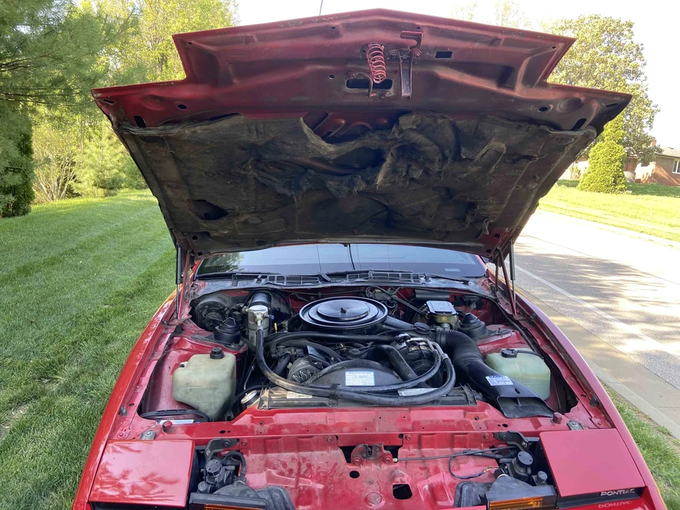1982 Pontiac Firebird Trans Am 3rd Gen - Image 15 of 31