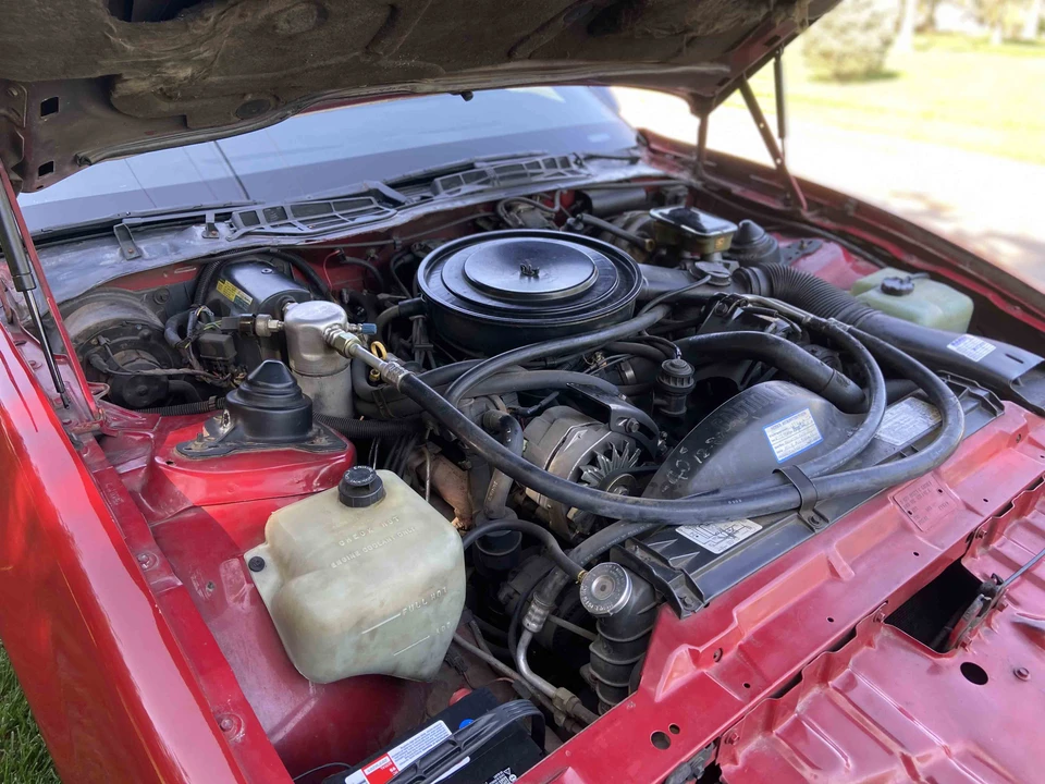 1982 Pontiac Firebird Trans Am 3rd Gen - Image 17 of 31