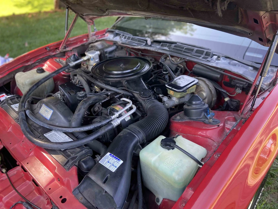 1982 Pontiac Firebird Trans Am 3rd Gen - Image 18 of 31