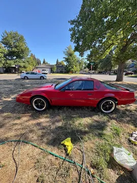 1982 Pontiac Firebird Trans Am Coupe 2D