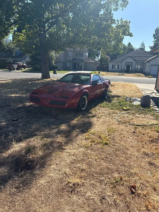 1982 Pontiac Firebird Trans Am 3rd Gen - Image 9 of 9