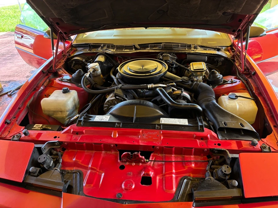 1982 Pontiac Firebird Trans Am 3rd Gen - Image 11 of 21
