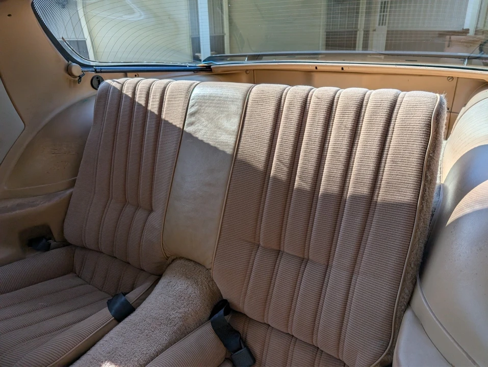 1982 Pontiac Firebird Trans Am 3rd Gen - Image 9 of 21