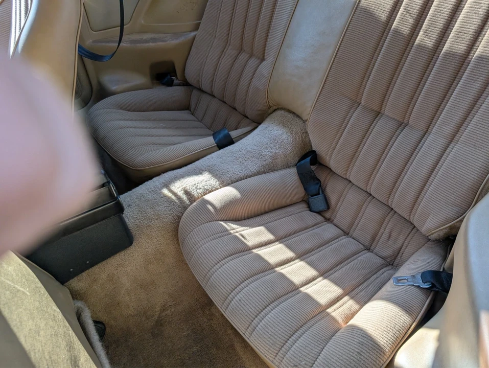 1982 Pontiac Firebird Trans Am 3rd Gen - Image 8 of 21