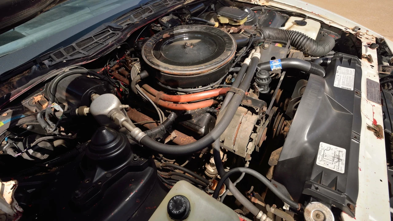 1982 Pontiac Firebird Trans Am 3rd Gen - Image 7 of 24