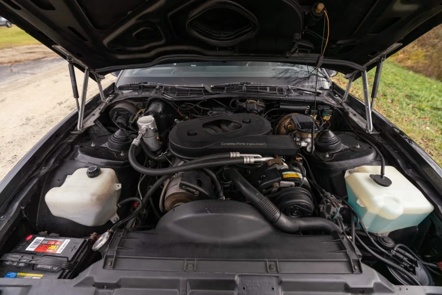 1982 Pontiac Firebird Trans Am 3rd Gen - Image 19 of 20