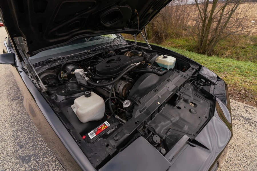 1982 Pontiac Firebird Trans Am 3rd Gen - Image 18 of 20