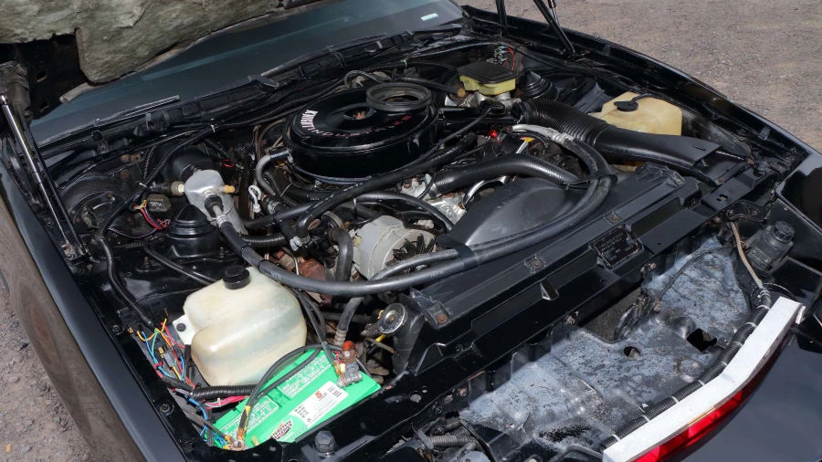 1982 Pontiac Firebird Trans Am 3rd Gen - Image 7 of 12