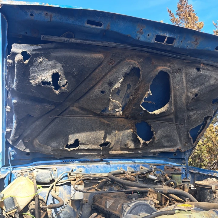 1982 Toyota Hilux 3rd Gen - Image 7 of 18