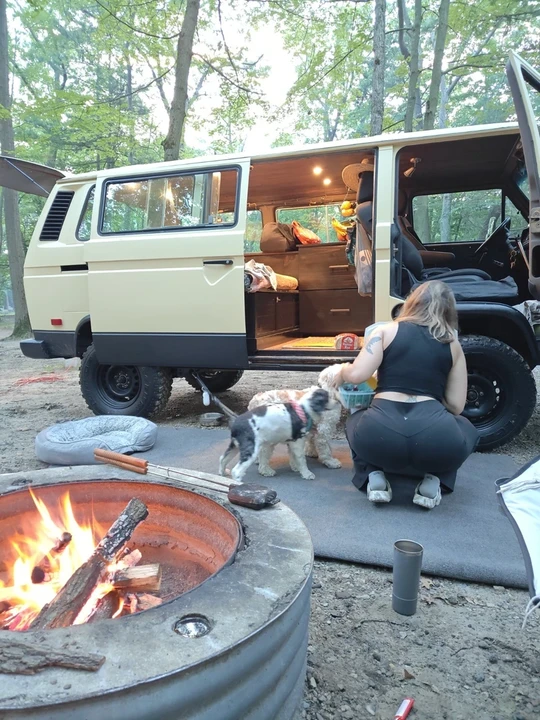 1982 Volkswagen Bay-Window Camper - Image 12 of 21