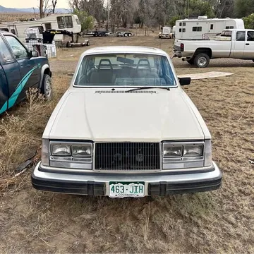 1982 Volvo 240 DL