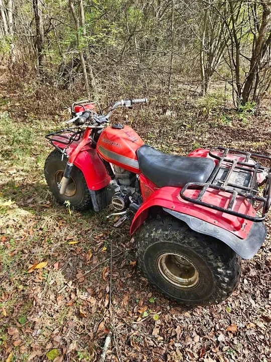 1982 Honda ATV - Image 2 of 6