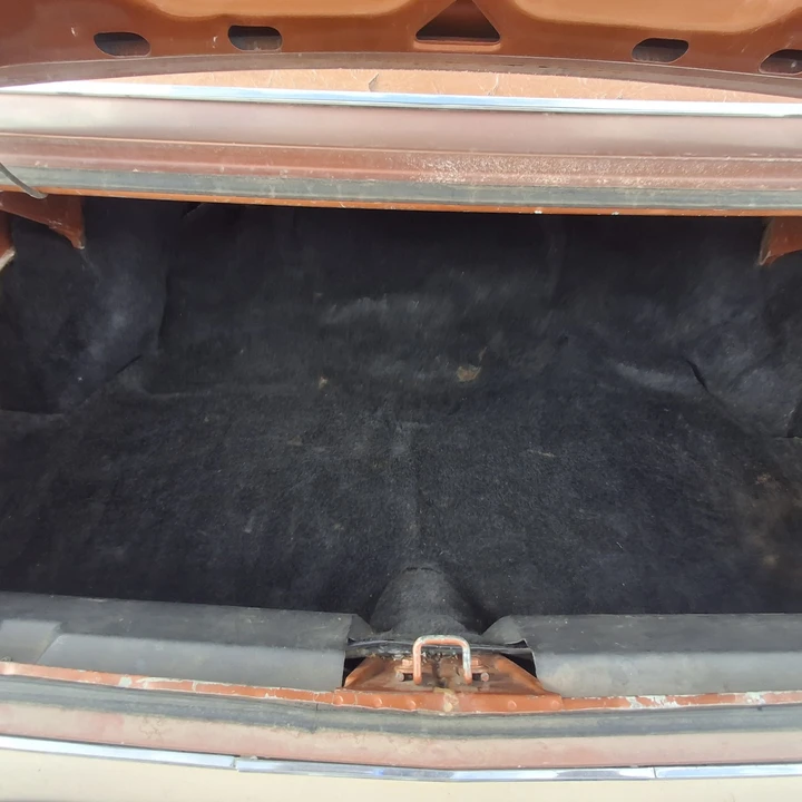 1983 AMC - Image 18 of 18