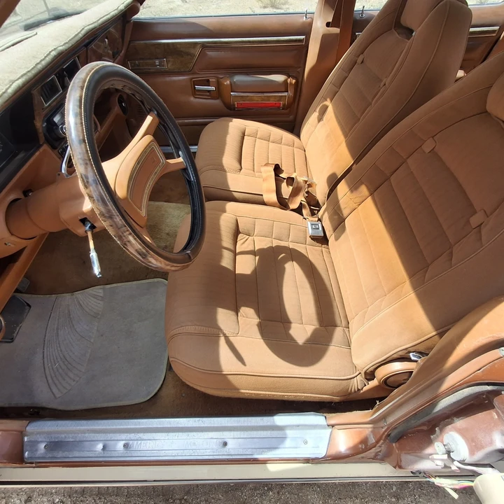 1983 AMC - Image 15 of 18