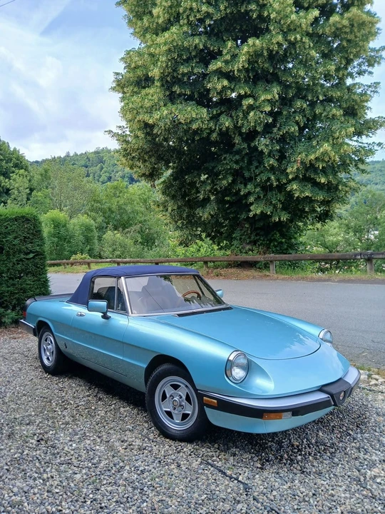 1983 Alfa Romeo Series 3 - Image 9 of 31