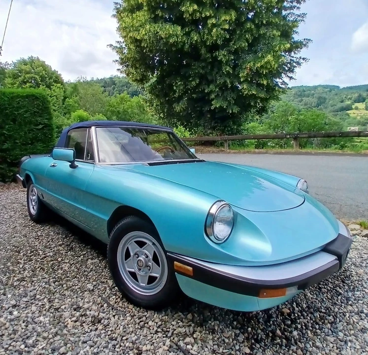 1983 Alfa Romeo Series 3 - Image 14 of 31