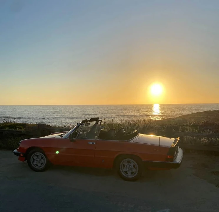 1983 Alfa Romeo Series 3 - Image 8 of 8