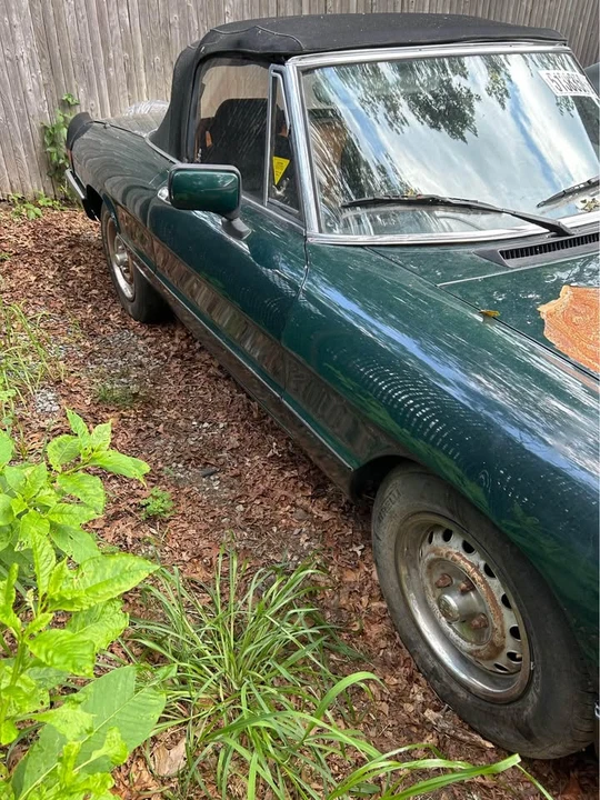 1983 Alfa Romeo Series 3 - Image 4 of 10