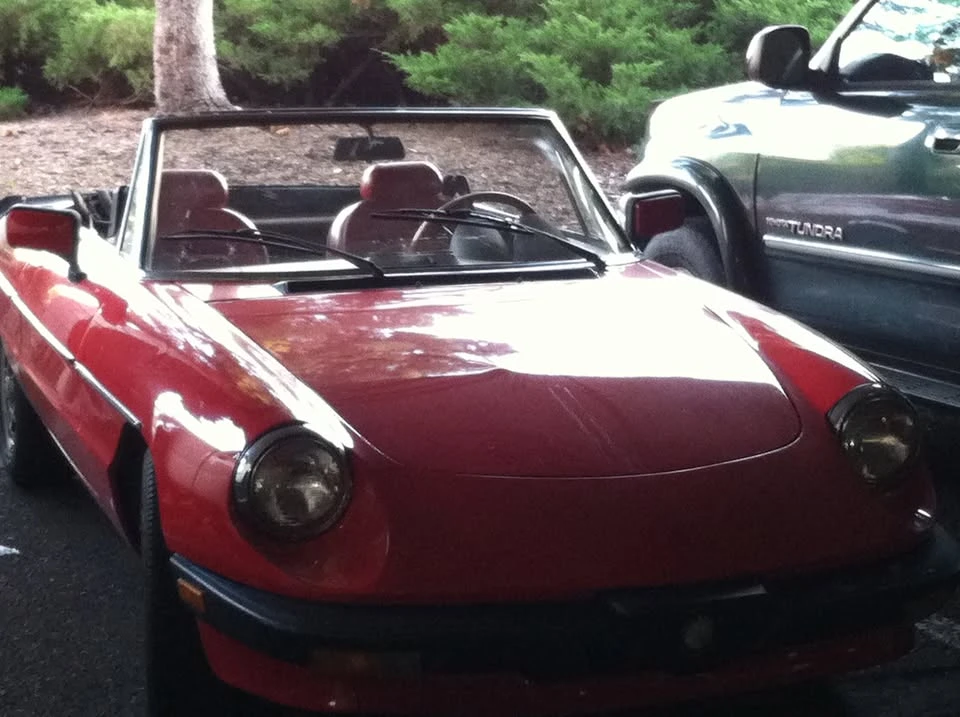 1983 Alfa Romeo Series 3 - Image 2 of 3
