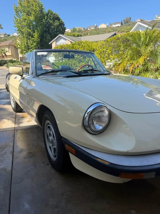 1983 Alfa Romeo Series 3 - Image 2 of 10