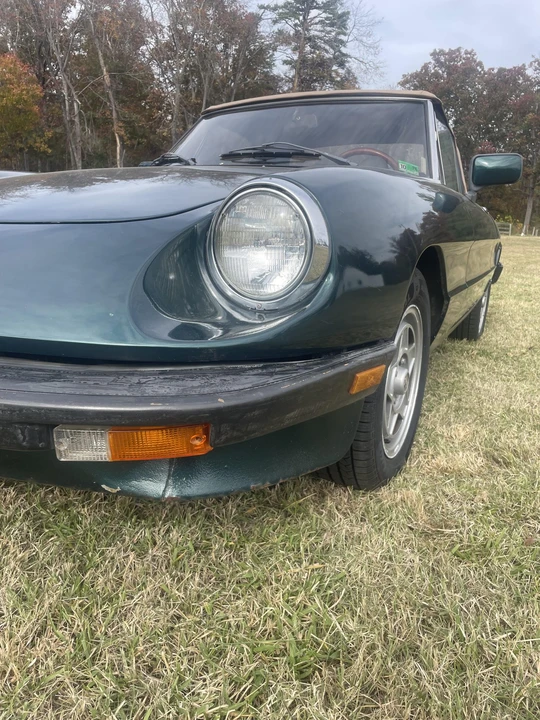 1983 Alfa Romeo Series 3 - Image 19 of 31