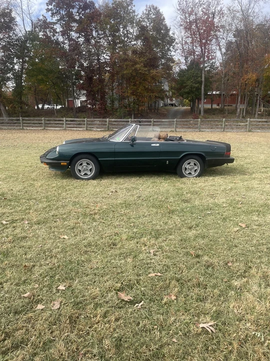 1983 Alfa Romeo Series 3 - Image 12 of 31