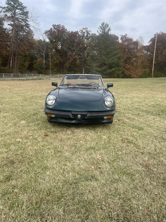 1983 Alfa Romeo Series 3 - Image 16 of 31