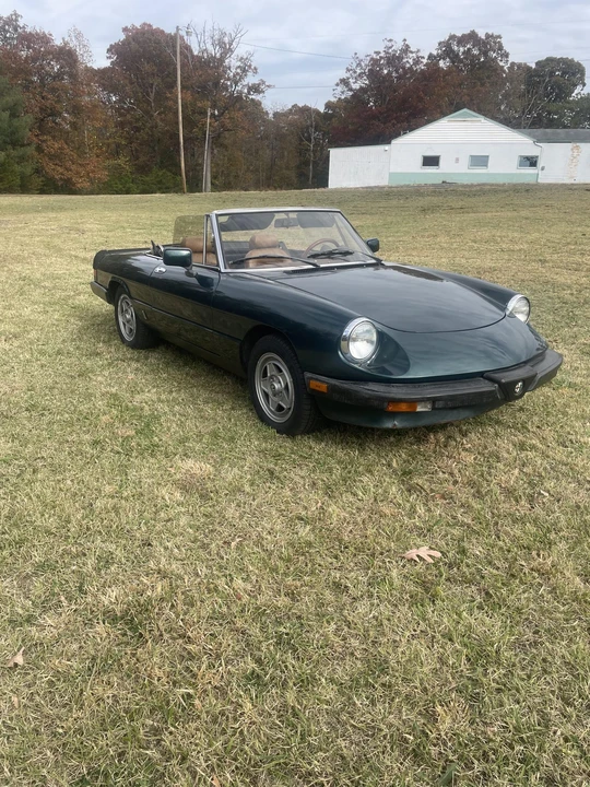 1983 Alfa Romeo Series 3 - Image 15 of 31