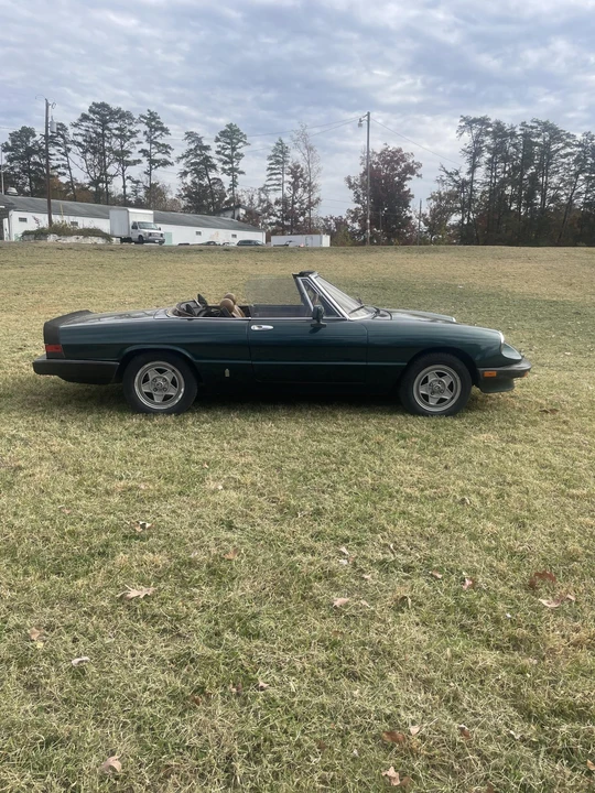 1983 Alfa Romeo Series 3 - Image 14 of 31