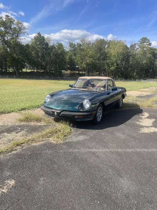 1983 Alfa Romeo Series 3 - Image 2 of 31