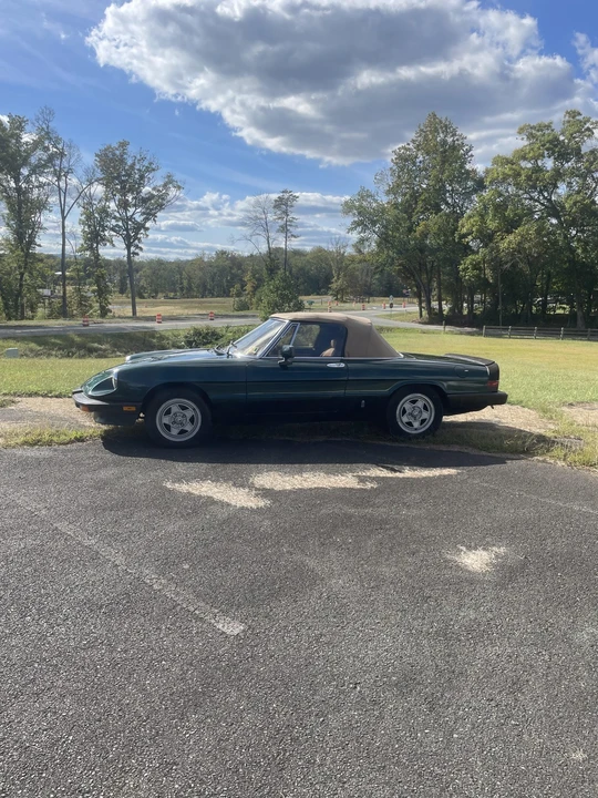 1983 Alfa Romeo Series 3 - Image 3 of 31