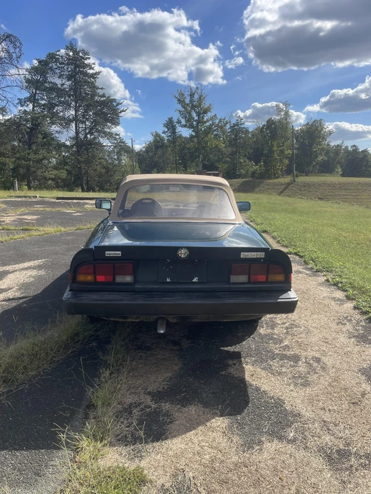 1983 Alfa Romeo Series 3 - Image 5 of 31