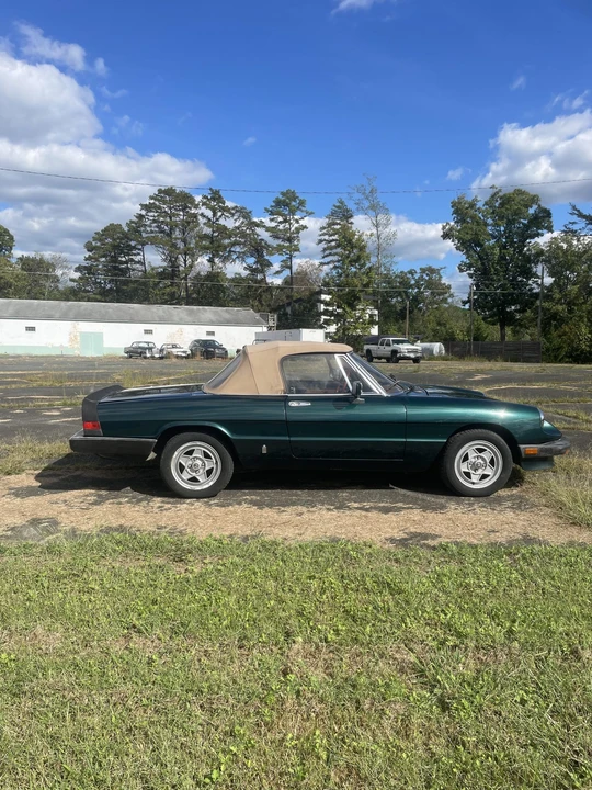 1983 Alfa Romeo Series 3 - Image 8 of 31