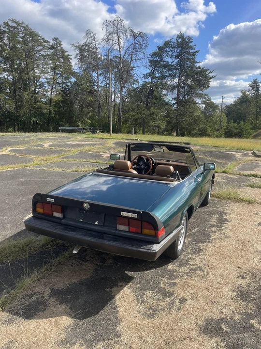 1983 Alfa Romeo Series 3 - Image 6 of 31