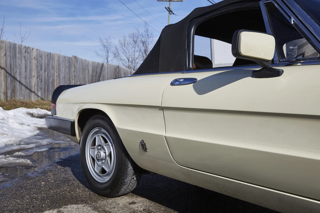1983 Alfa Romeo Series 3 - Image 19 of 31