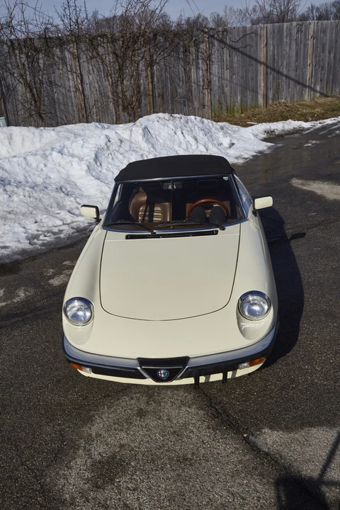 1983 Alfa Romeo Series 3 - Image 14 of 31