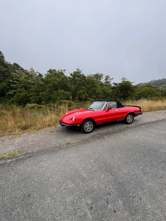 1983 Alfa Romeo Series 3 - Image 3 of 12